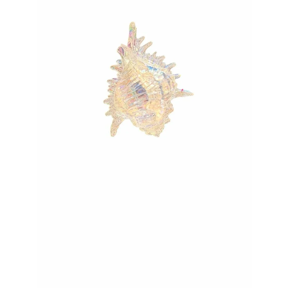 Macy’s holiday lane iridescent acrylic conch shell seaside Christmas ornament
